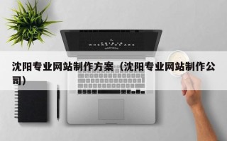 崇左沈阳专业网站制作方案（沈阳专业网站制作公司）